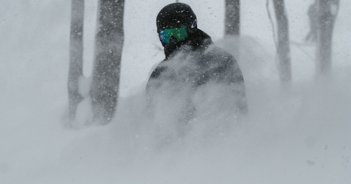 Snowboarder effortlessly gliding through deep powder in Japan's winter wonderland.
