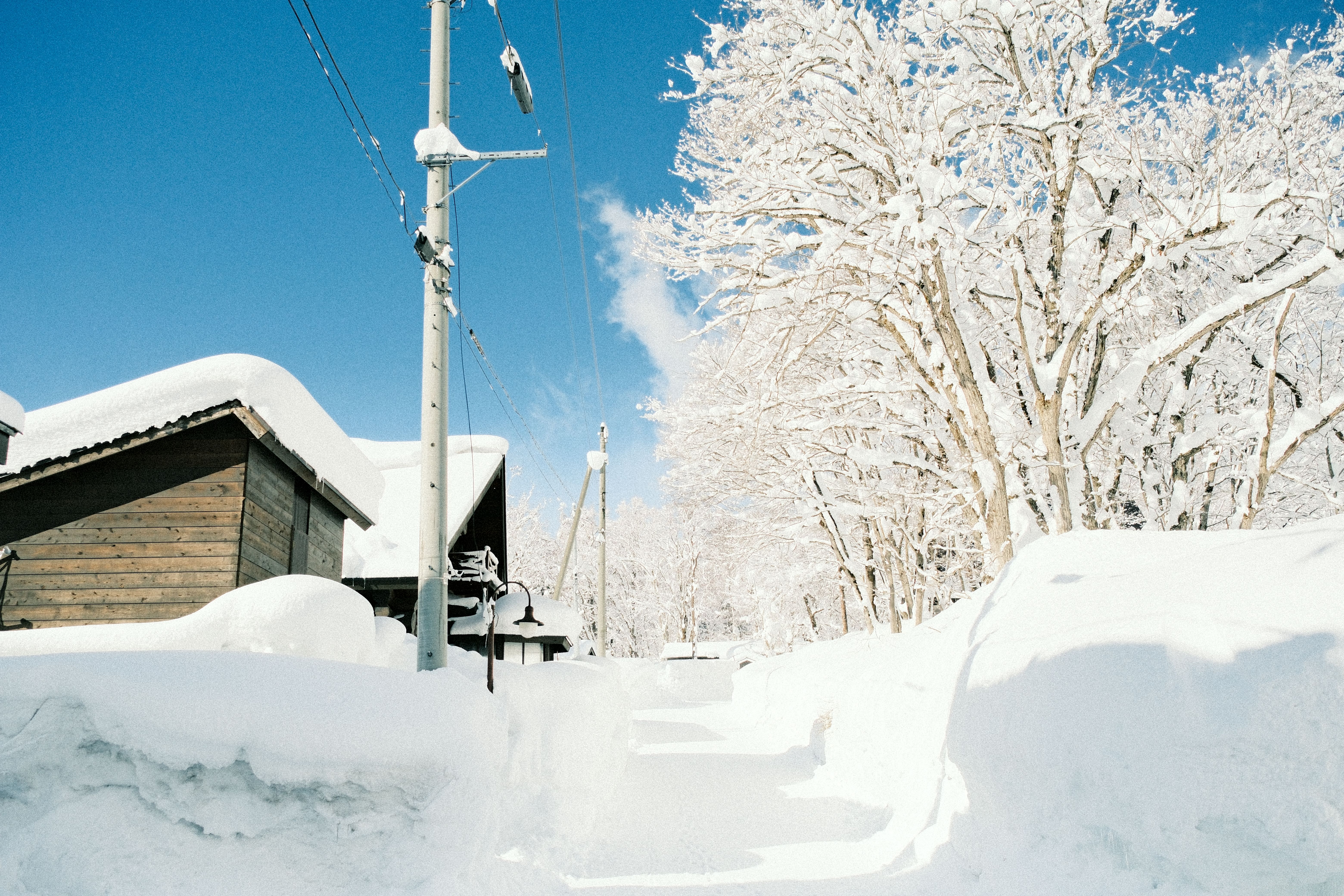 Weather Simulation Photos Download The Best Free Weather Simulation