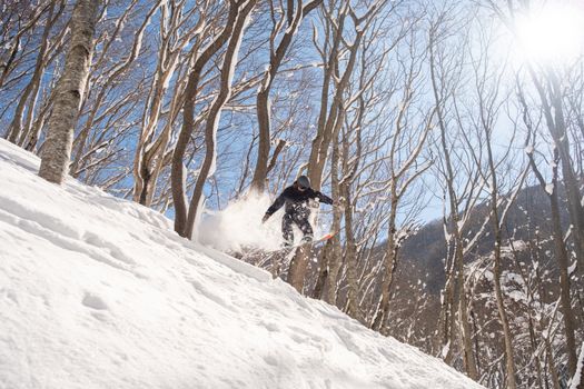 Niseko powder skiing with a guide — Sapporo