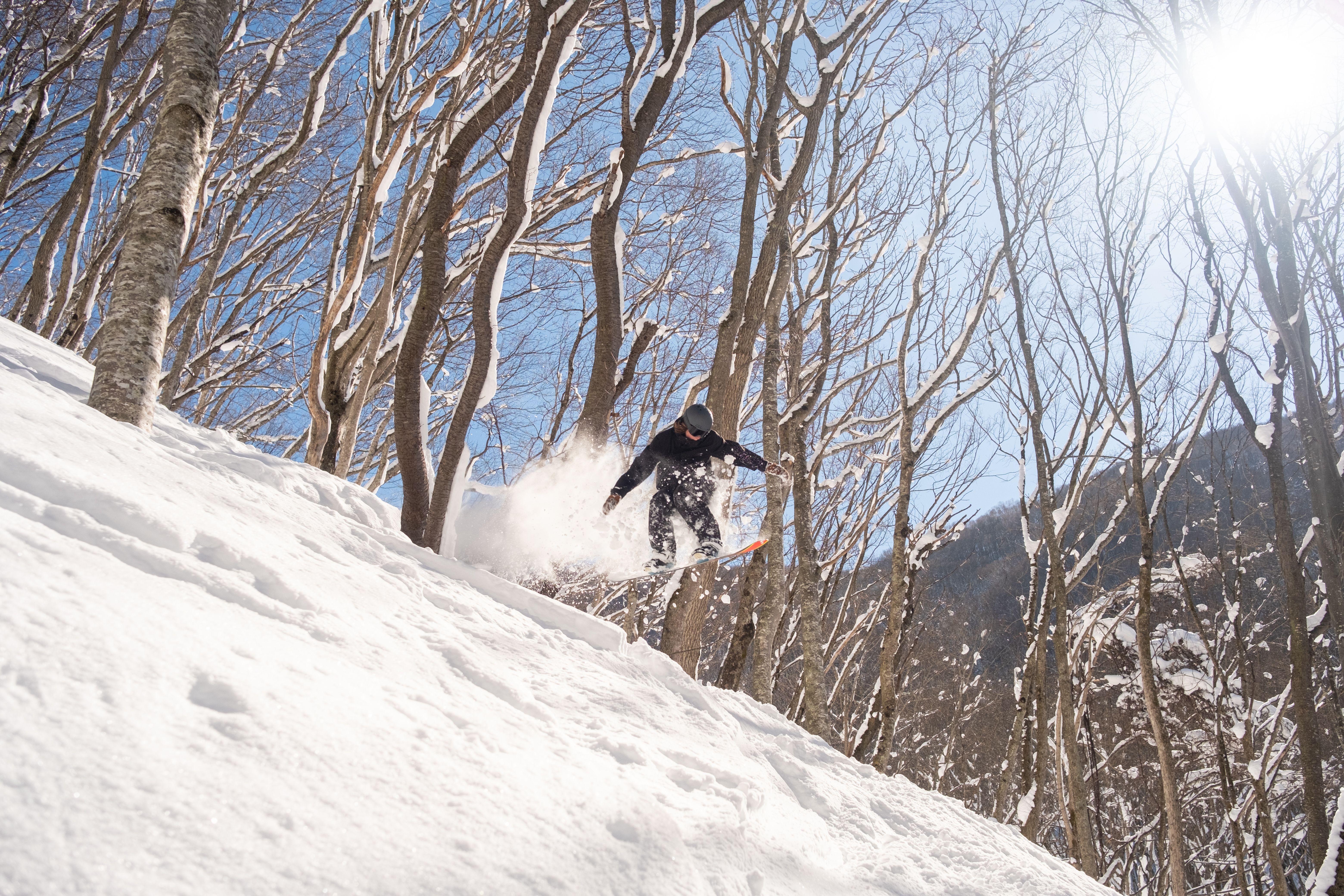 Backcountry Snowboarding in Japanese Winter Forest · Free Stock Photo