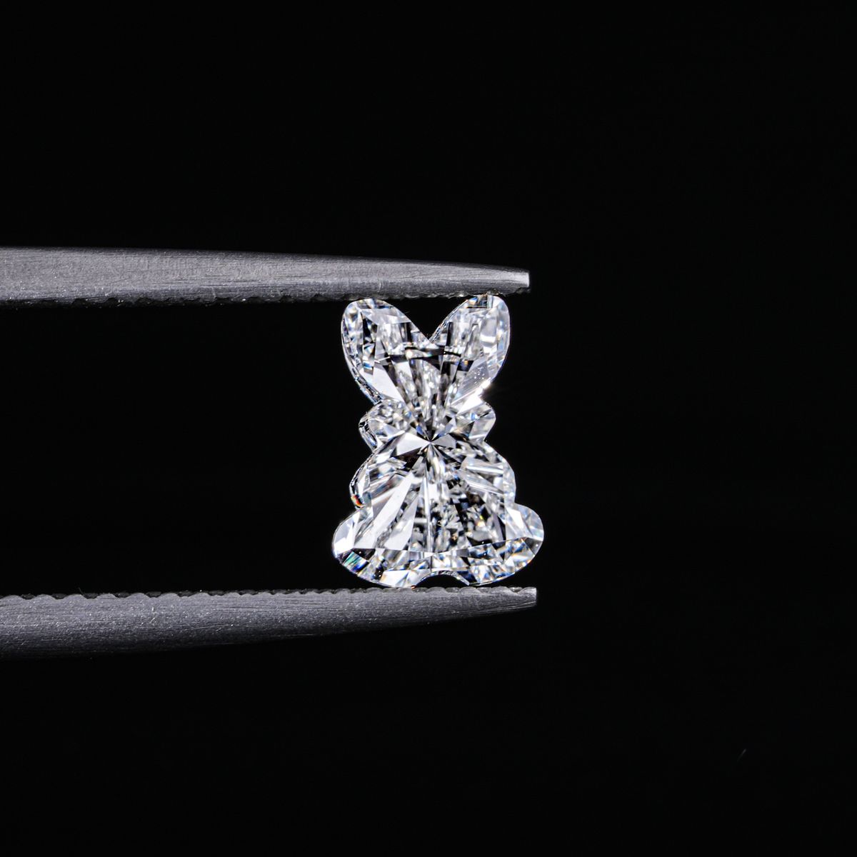 Diamond held in tweezers