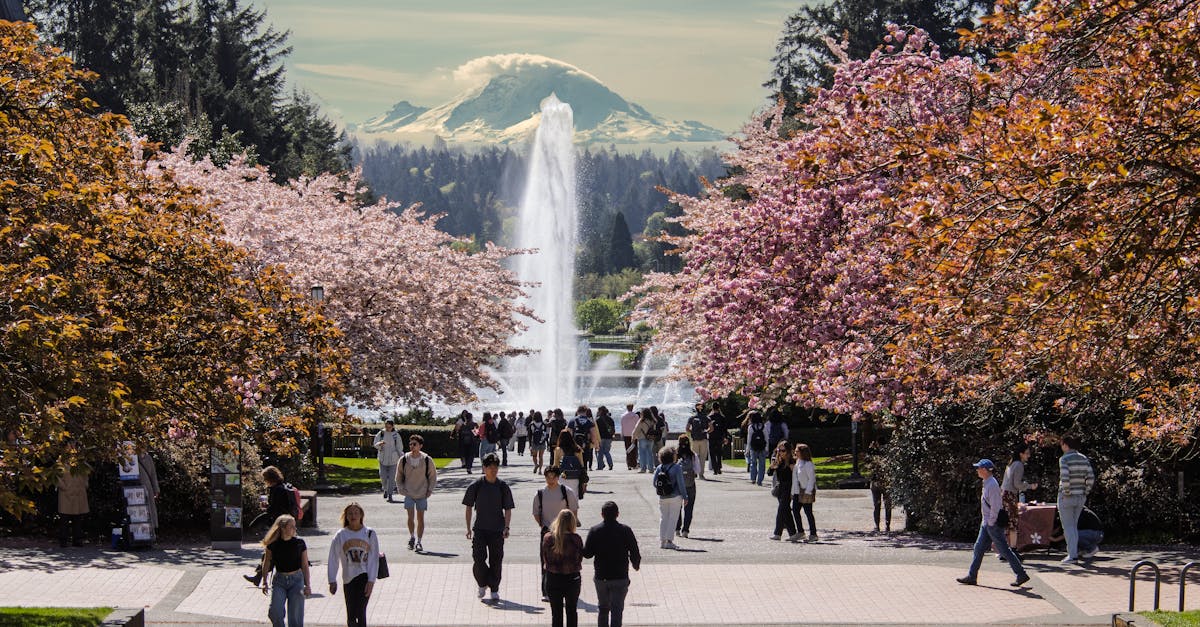 大罷免連署潮席捲台灣多所大學,引發「政治應否退出校園」熱烈辯論