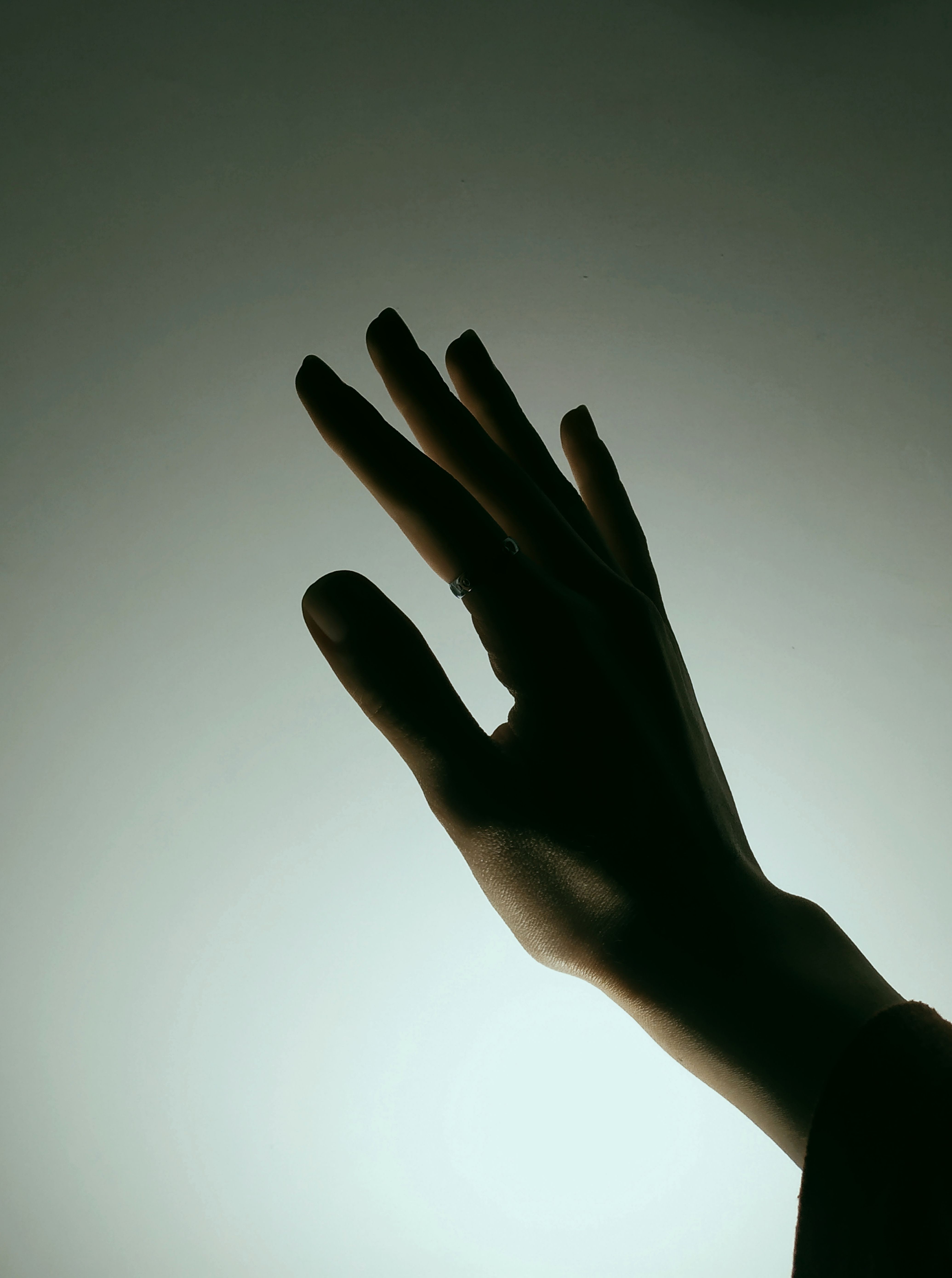 Elegant Hand Silhouette Against Soft Light · Free Stock Photo