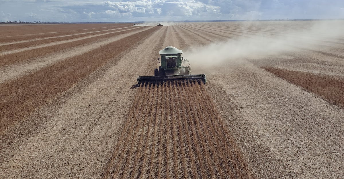 國際油價持穩 OPEC+擬明年第一季暫停增產穩定市場