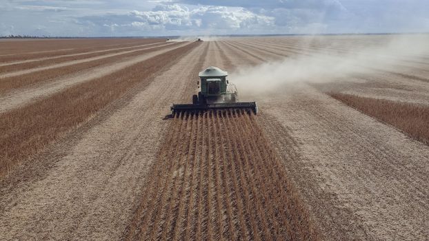 Luchtfoto van een maaidorser die aan het werk is in een uitgestrekt sojabonenveld onder een bewolkte hemel.