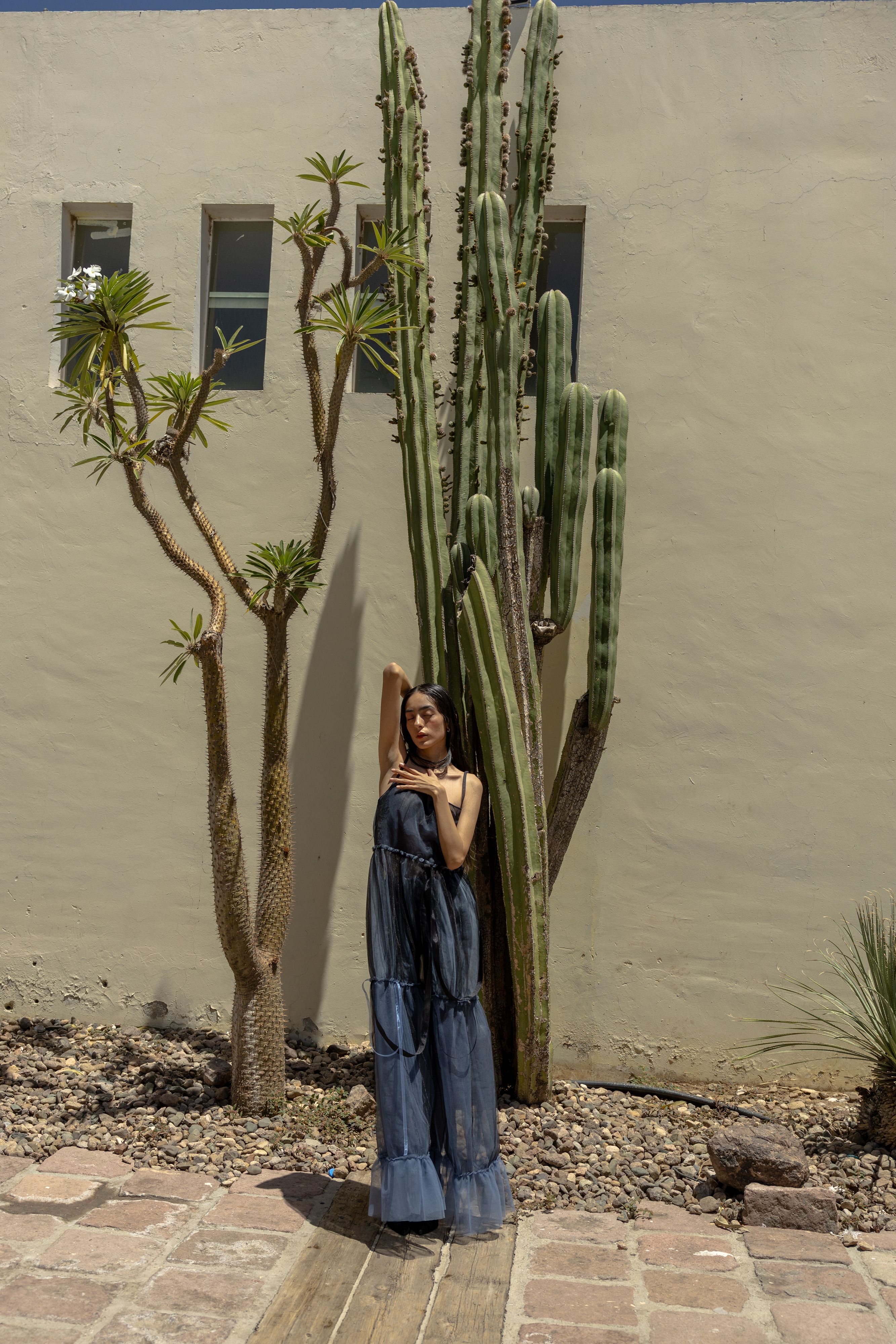 Stylish Woman Posing by Cacti in Summer Light  Free Stock Photo