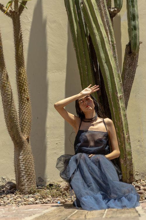 Woman Sitting by Cactus in Elegant Dress  Free Stock Photo