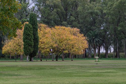 Free Serene autumn scene with colorful trees in Lobos, Buenos Aires, Argentina. Stock Photo