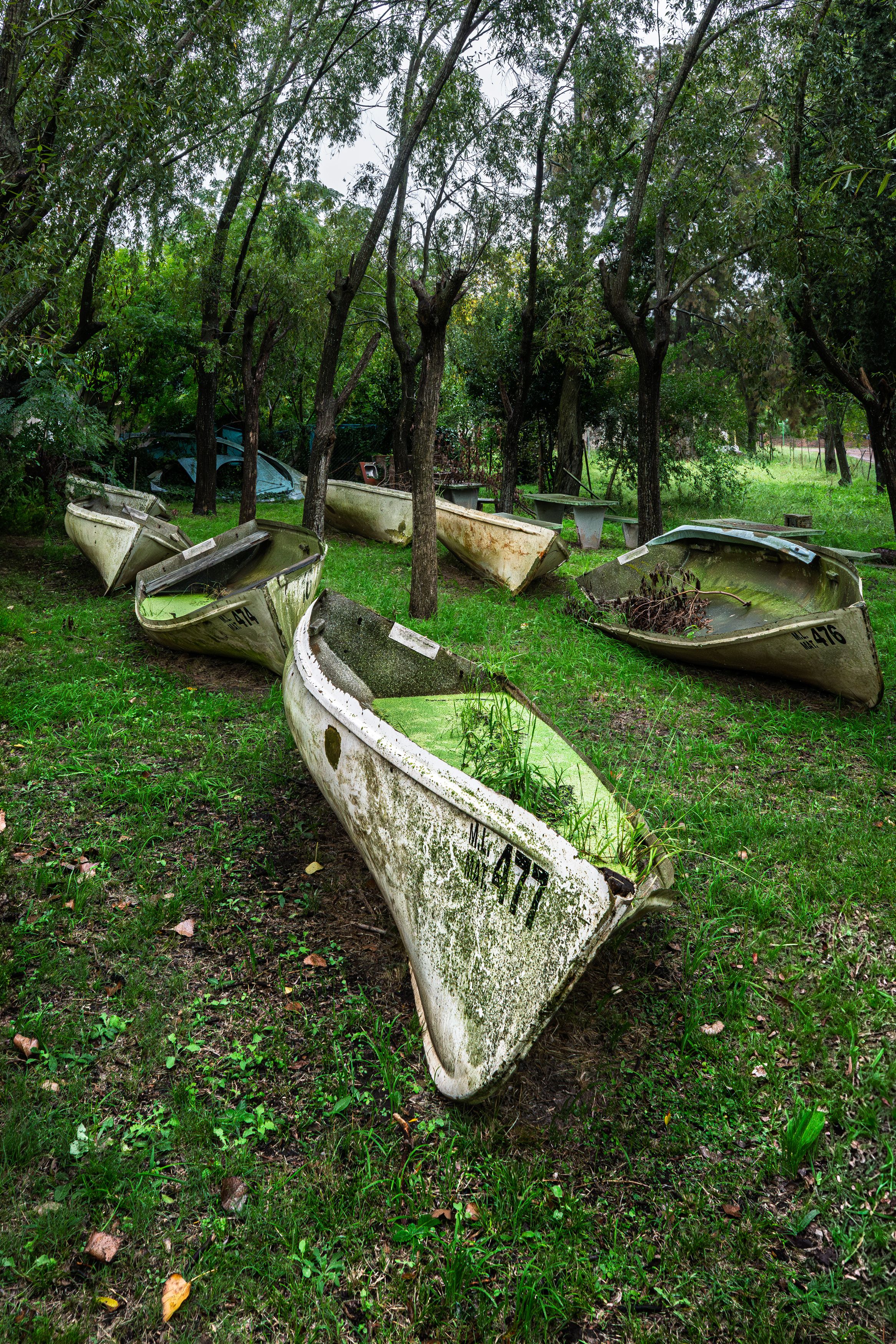 Old Rowboats in Overgrown Park, Buenos Aires · Free Stock Photo