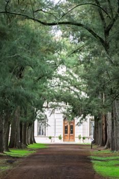 Stately mansion entrance through towering trees, Lobos, Argentina.