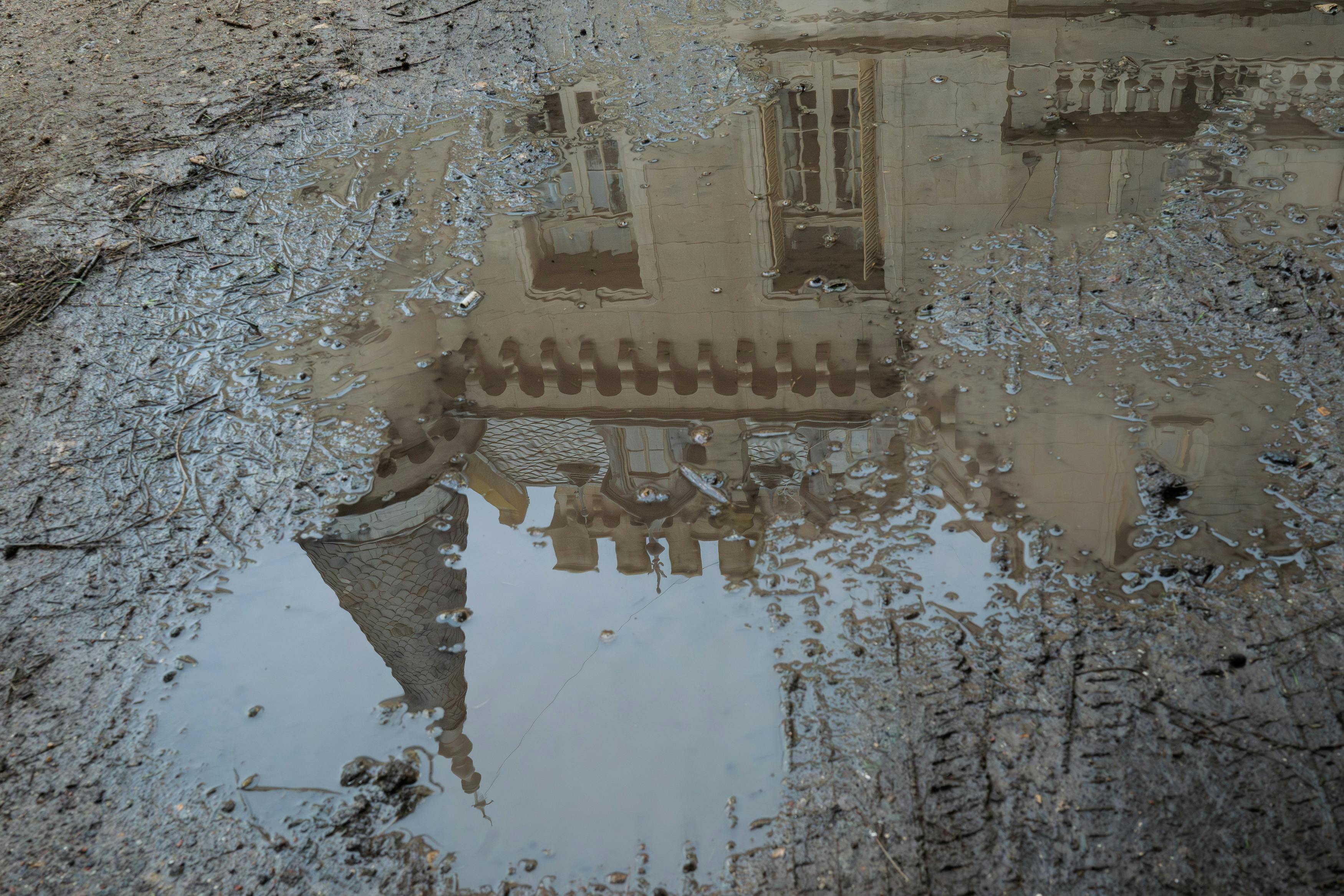 Why Do Dogs Have Wet Noses? Discover The Fascinating Reasons 10 Can Weather Affect Your Dog's Nose? Exploring Environmental Influences on Moisture Levels