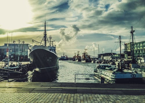 Free stock photo of boats, port