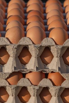 12 Eggs Grade Aa Large Cage Free