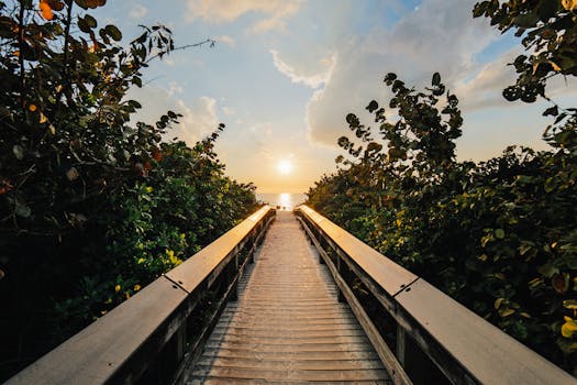 日出时分，一条木质步道通向大海，四周绿植环绕