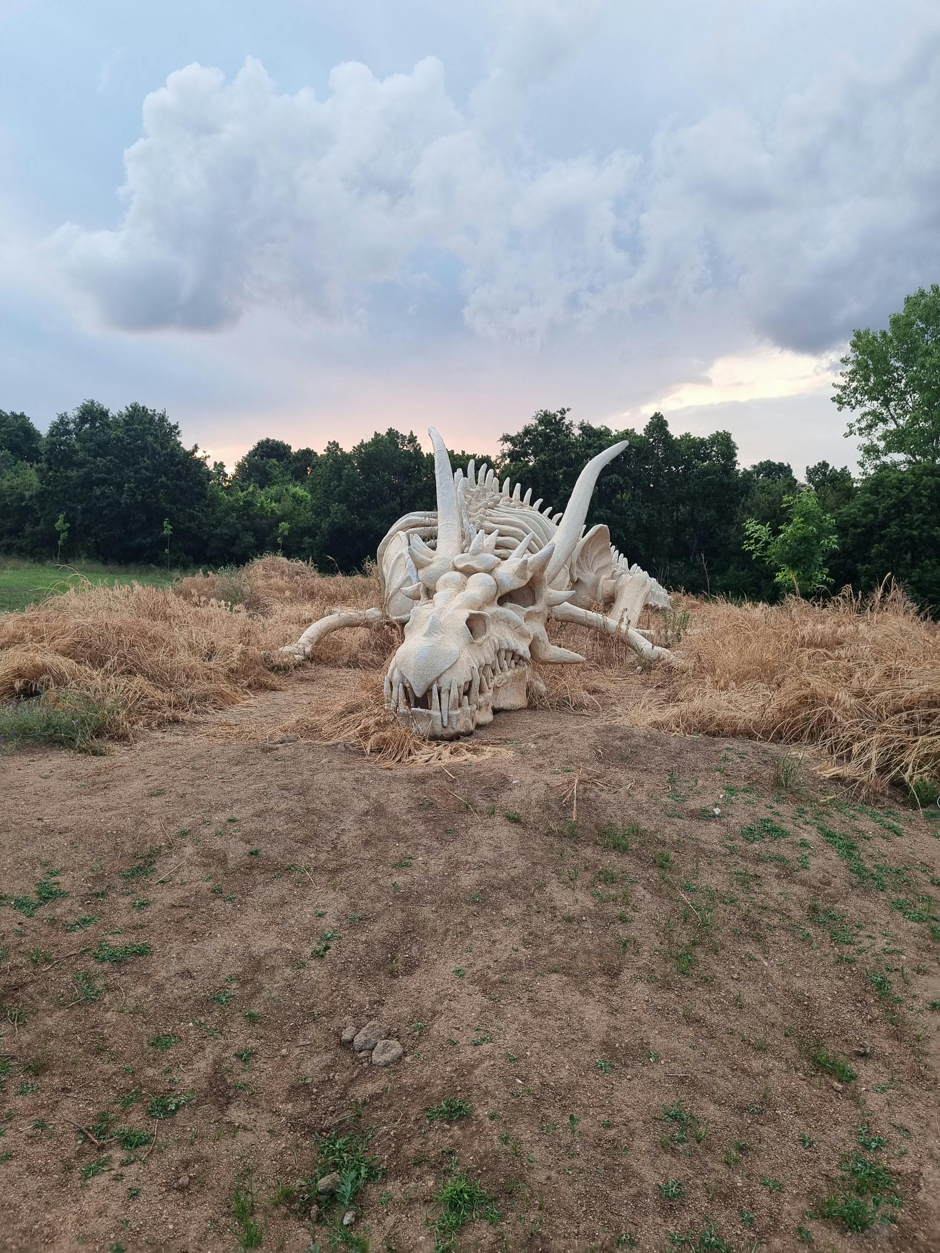 A striking dragon skull sculpture amidst grassy fields under a dramatic sky at Kırklareli, Türkiye.