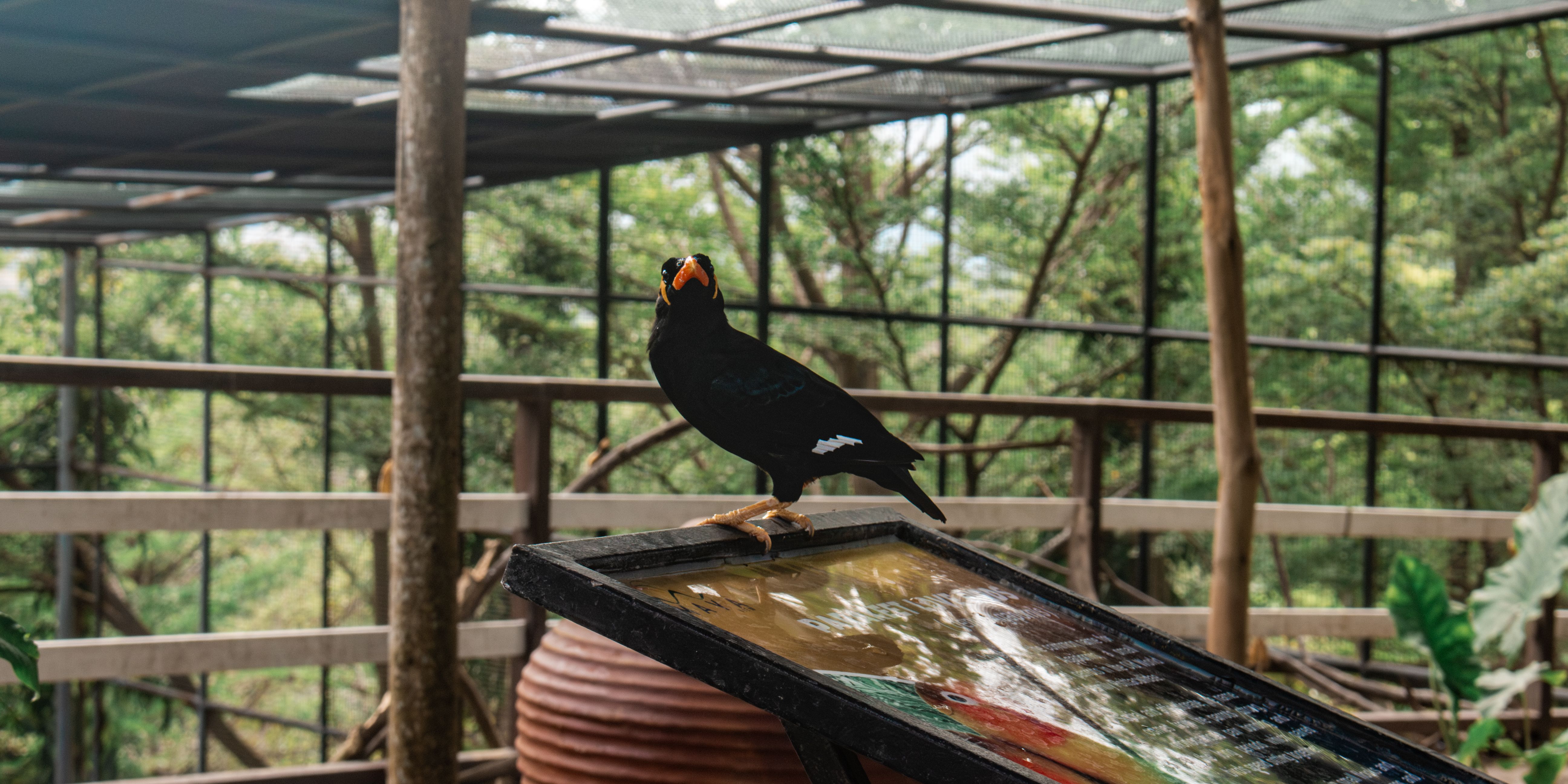 Volière et jardin tropical dans un parc animalier
