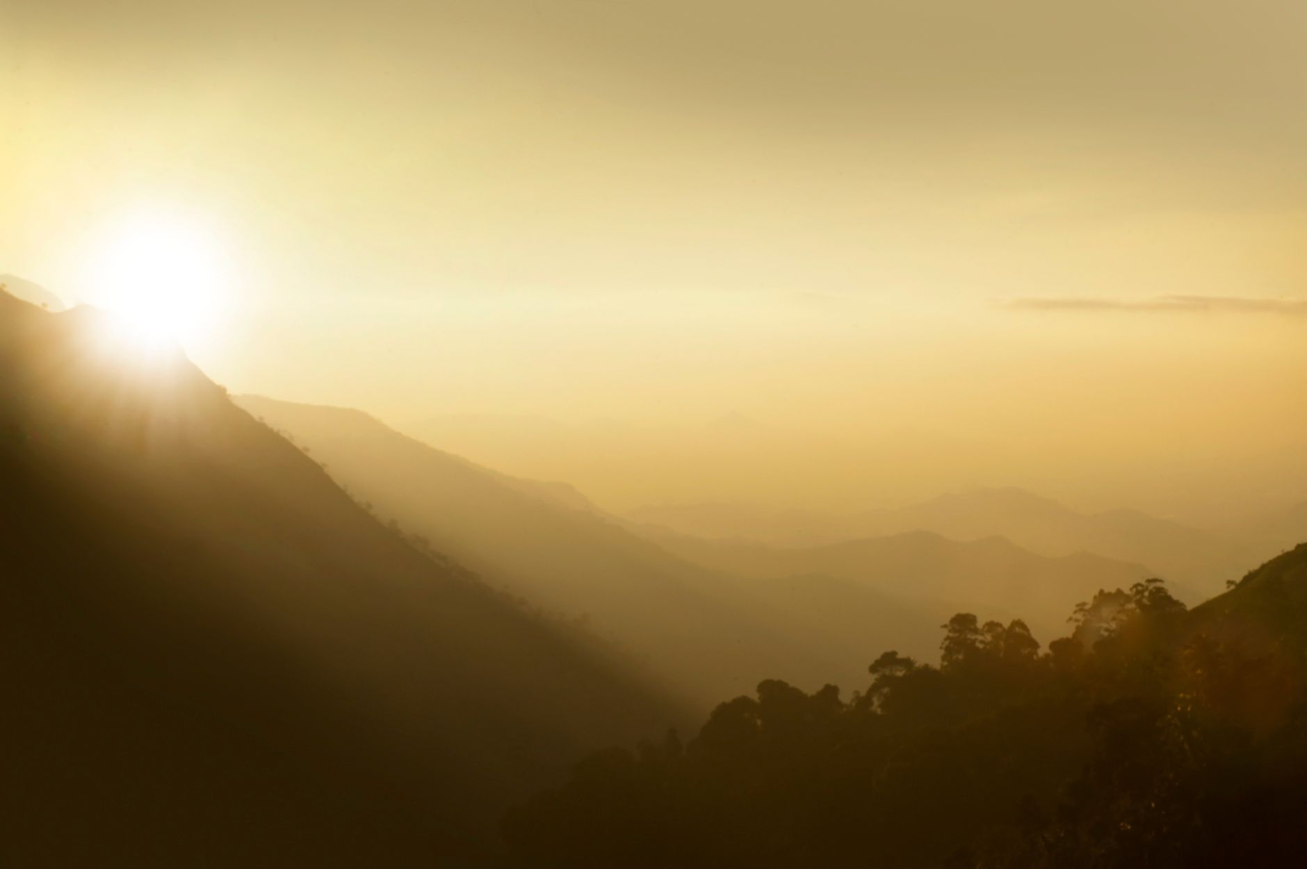 A beautiful sunrise over the misty mountains of Nuwara Eliya, Sri Lanka, showcasing nature's serene beauty.. pexels, beautifu