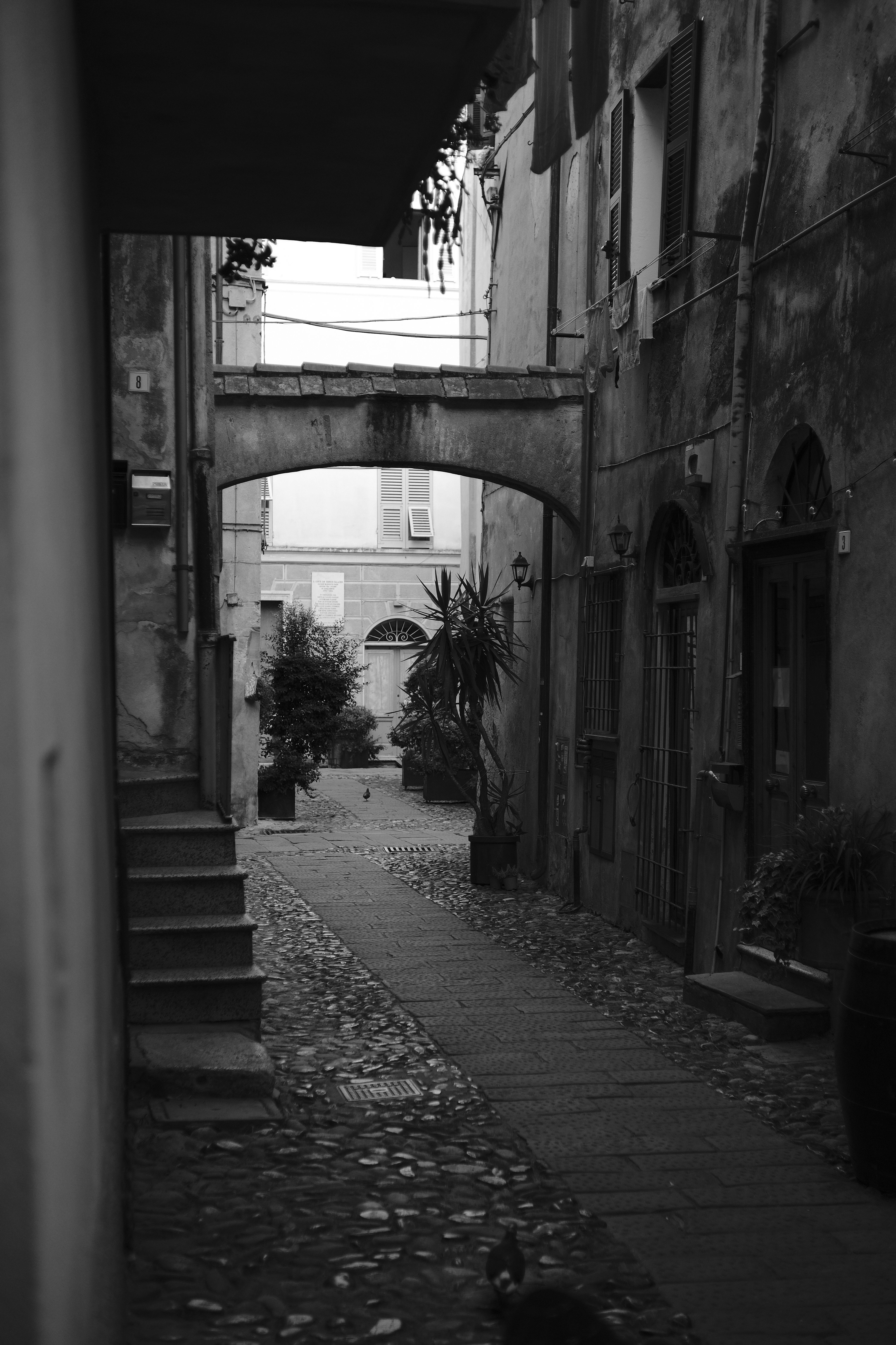 Black and white photo of a quaint alleyway in Italy showcasing rustic architecture and cobblestone streets.