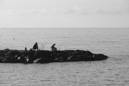 Image by Ramon Karolan