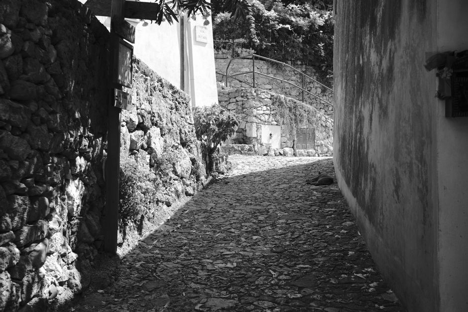 Foto de Siena