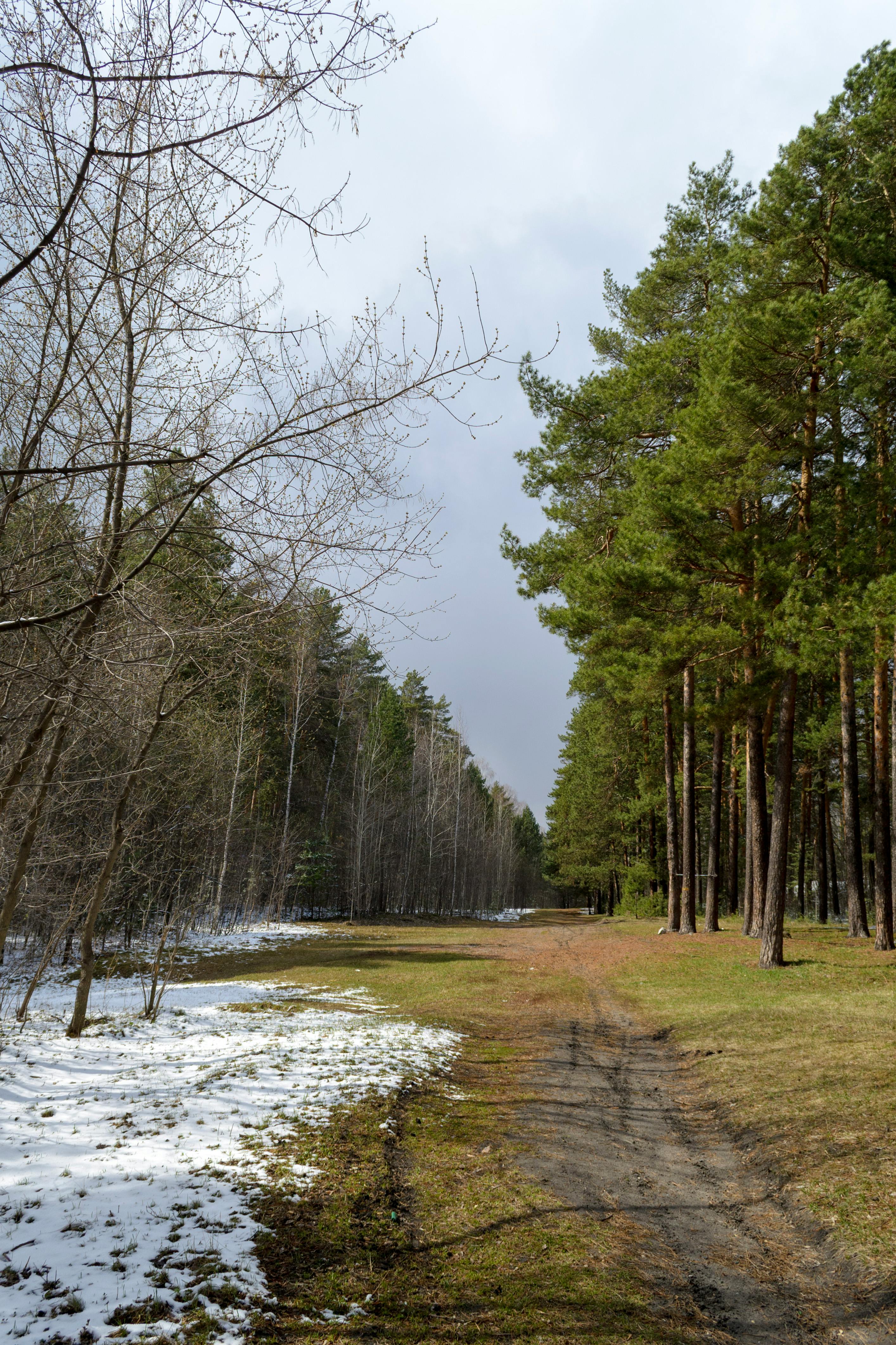 Mengapa Palopo? Bukan Sekadar Transit!