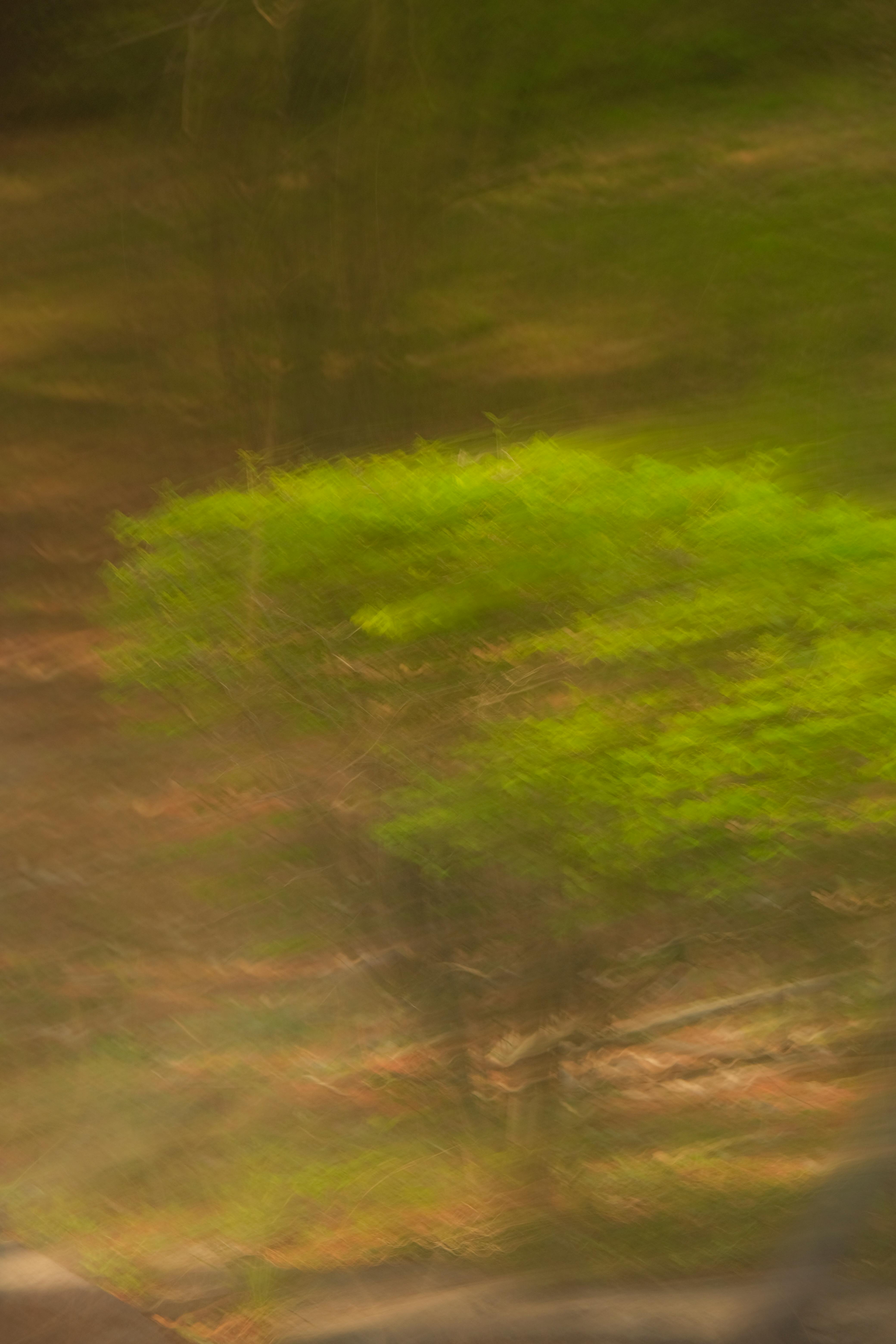 Gratis Sebuah gambar kabur abstrak dinamis yang menangkap hakikat alam hijau yang sedang bergerak. Foto Stok