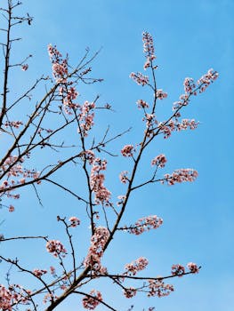 两部门发布春节假期旅游气象提示 两部门发布春节假期旅游气象提示