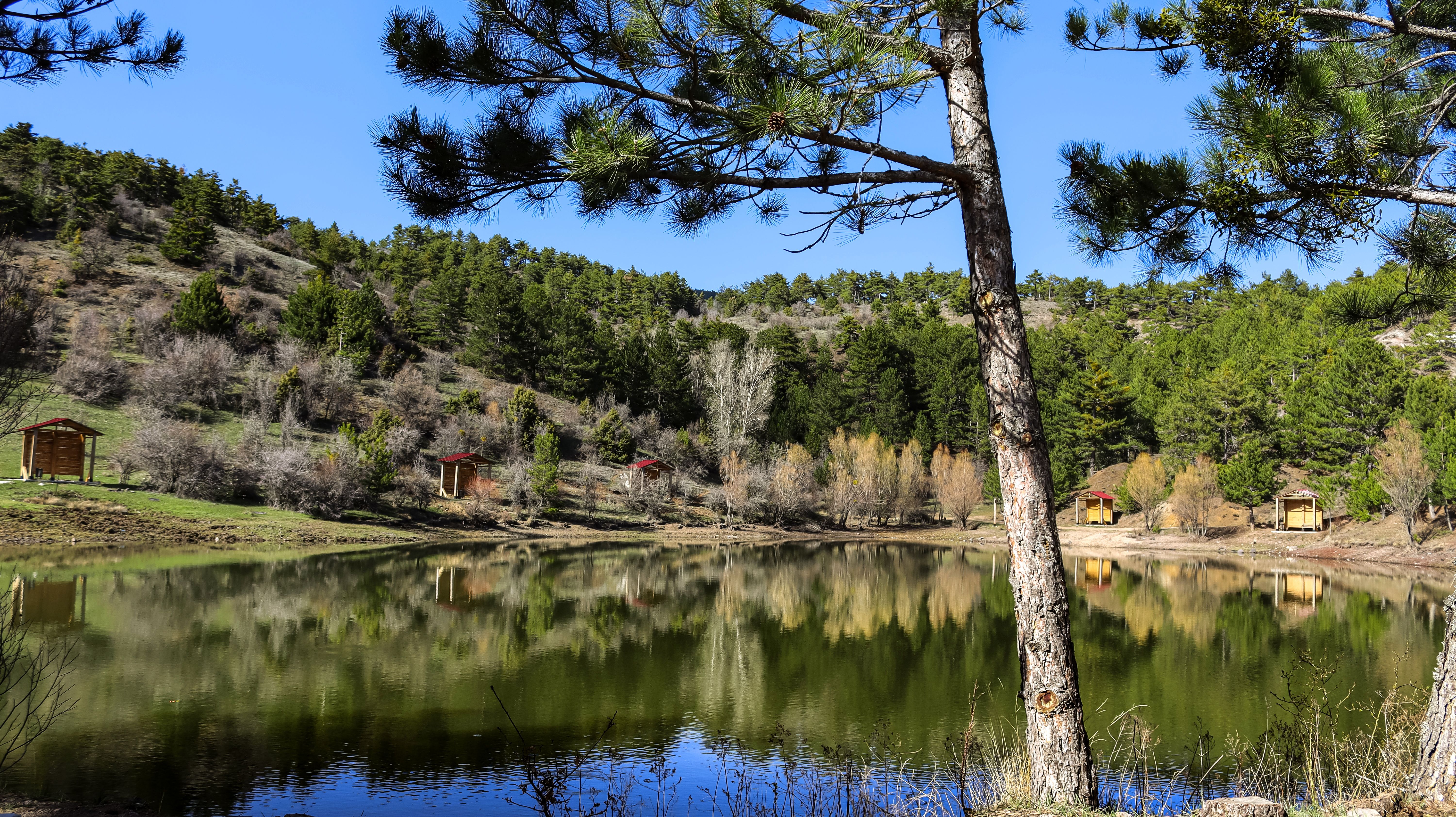 Tranquil lake scene in Ankara, Türkiye surrounded by lush greenery and a serene atmosphere.