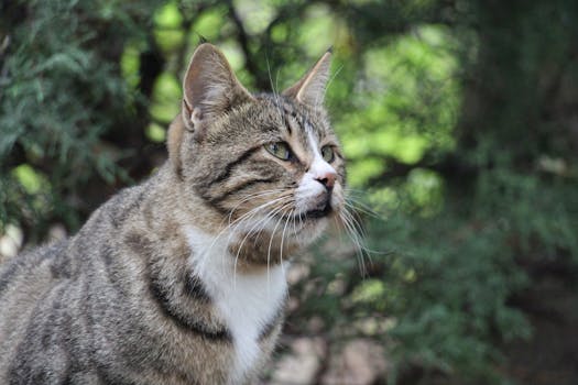 Image by behzad kazemi