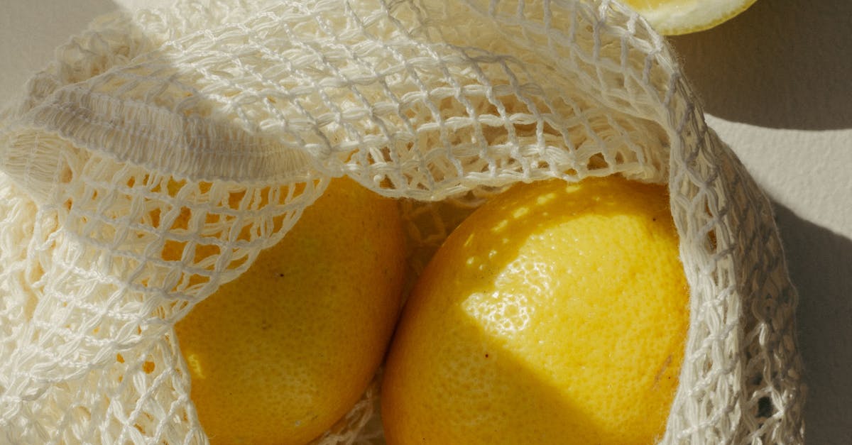 與地球共好!「穿龍偕街看IV•看好食光」五感體驗春日遊,打造永續生活質感