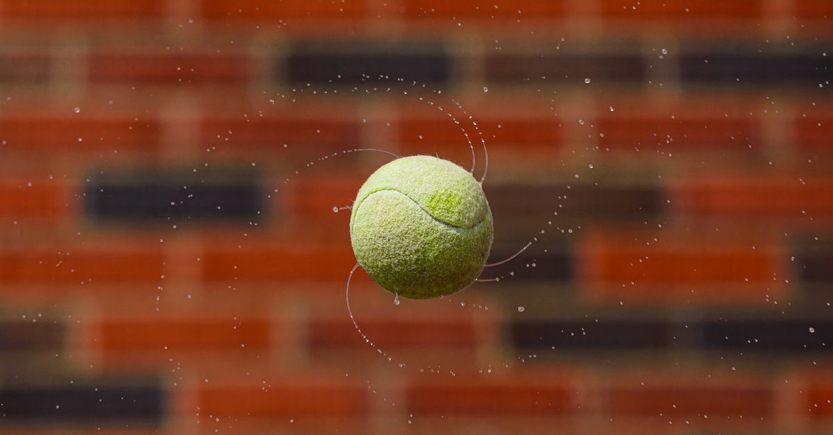 davis cup