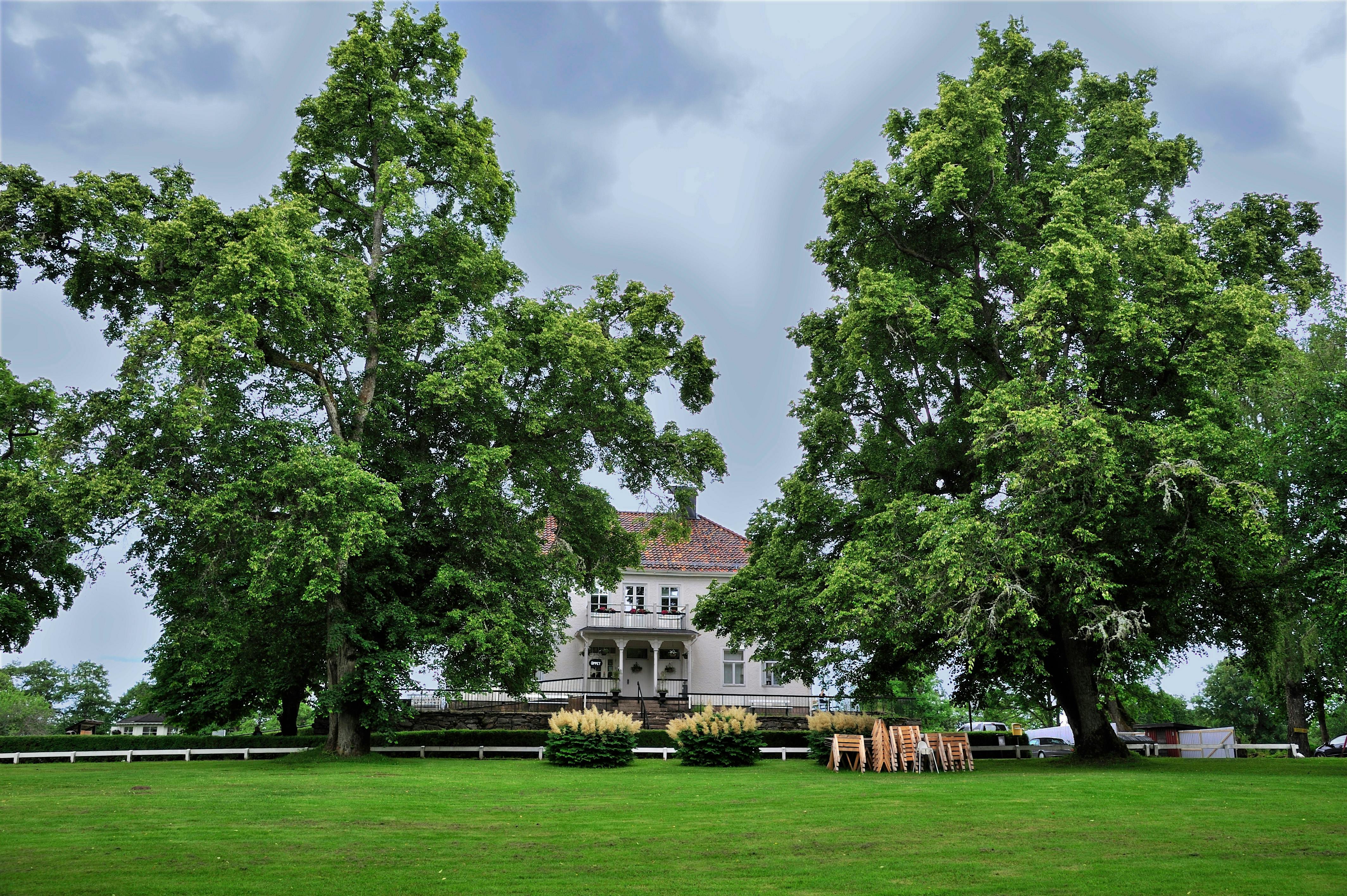 A picturesque country house amidst expansive lawns and towering trees under a cloudy sky.