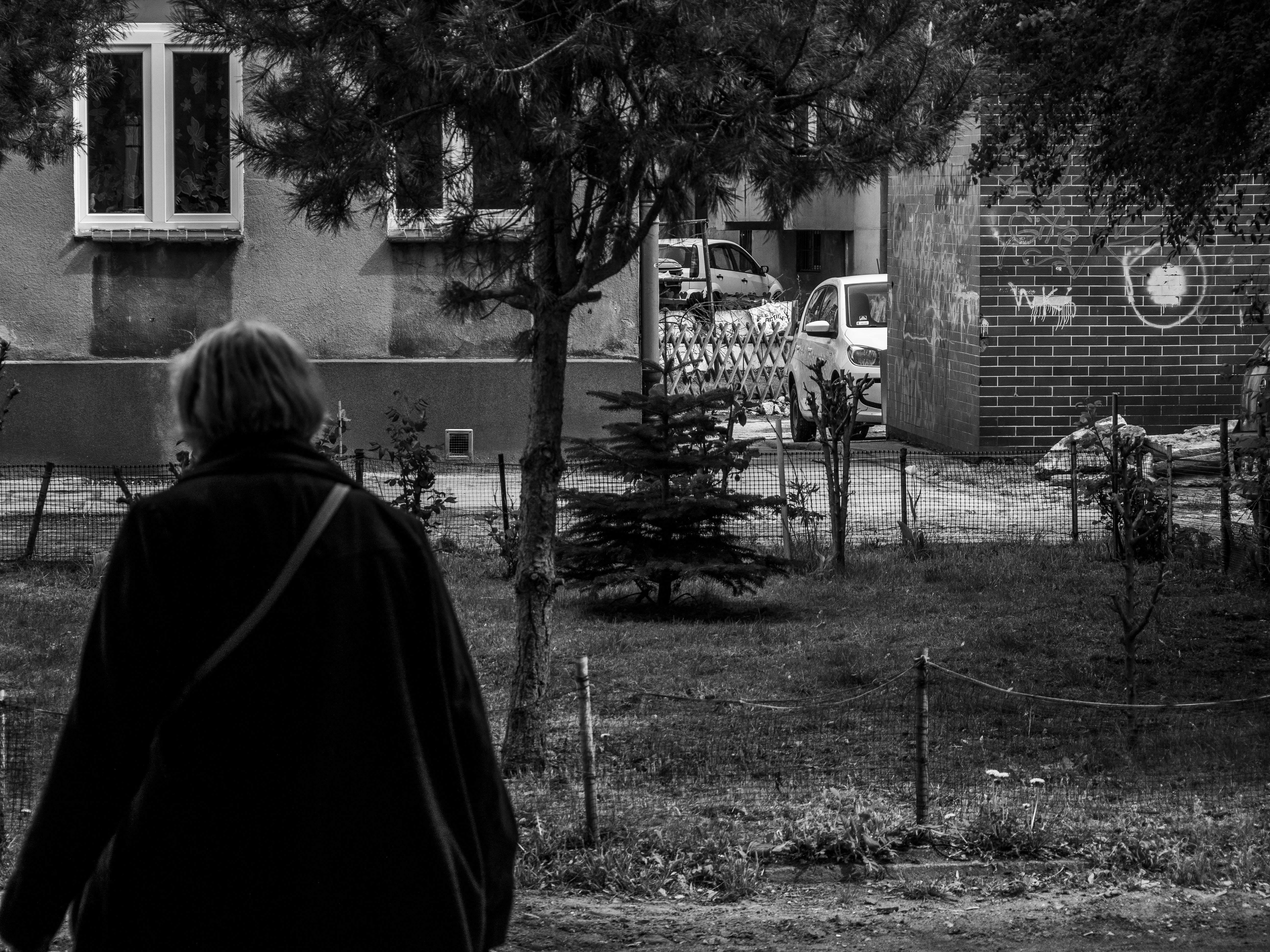 Monochrome urban scene with person walking, parked car, and trees.