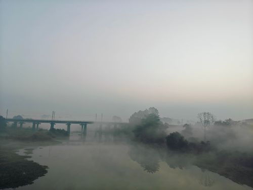 Free Foggy Nature Stock Photo