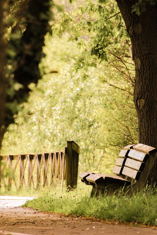 Free Serene bench along a lush wooded path in Oiartzun, Spain, ideal for relaxation amidst nature. Stock Photo