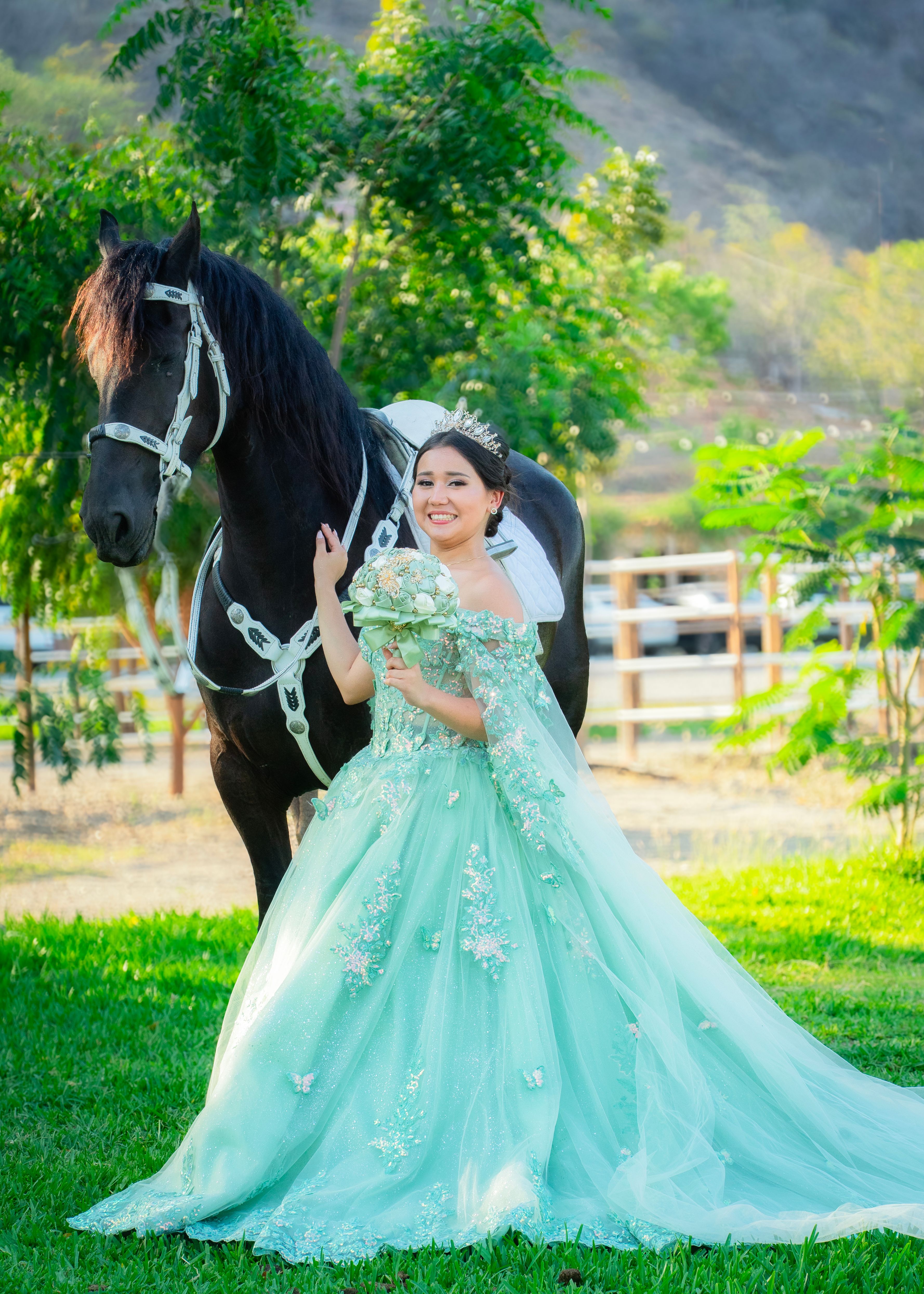 woman-horse-sex-photos-download-the-best-free-woman-horse-sex-stock