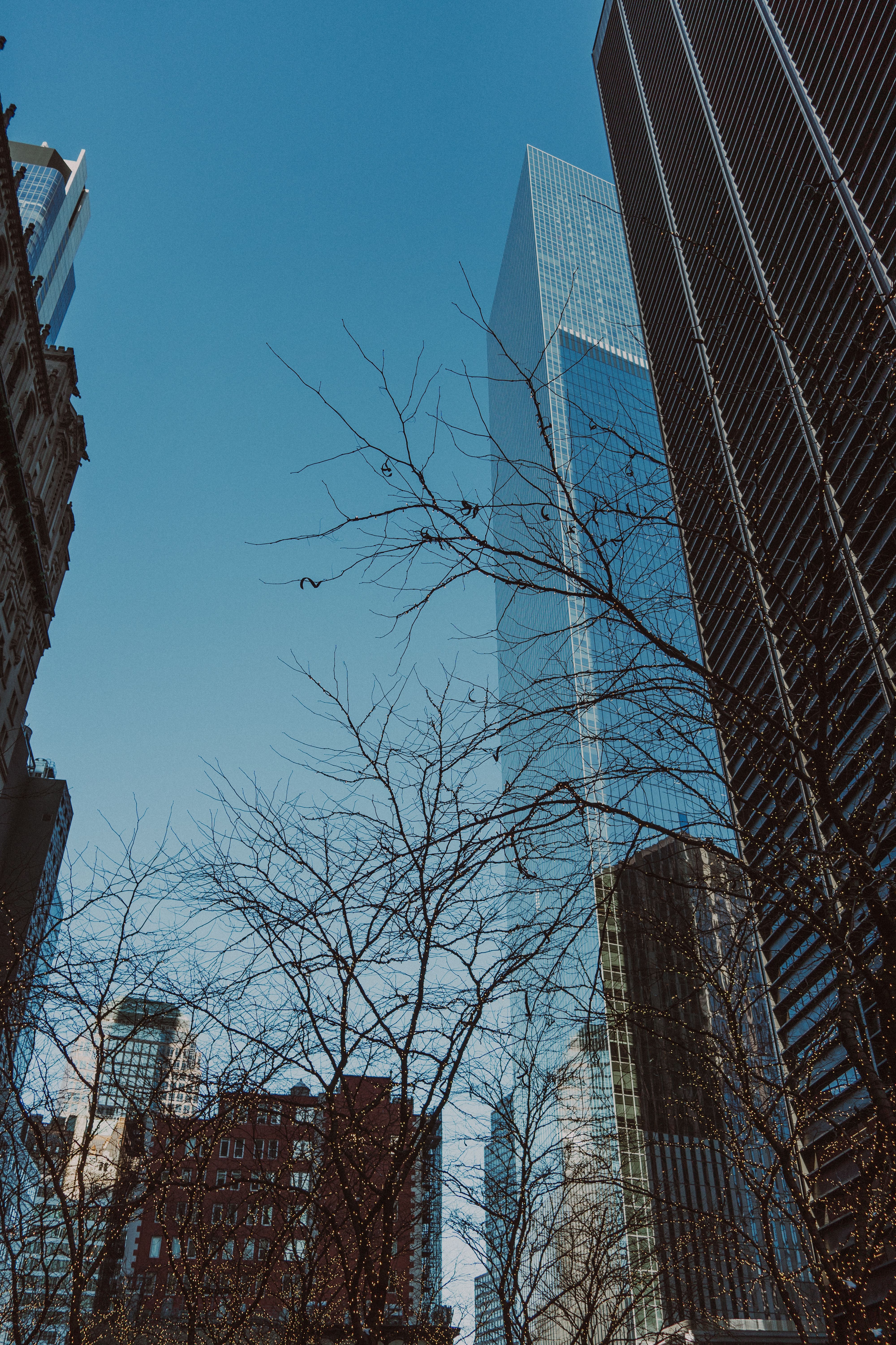 Photography of Buildings · Free Stock Photo