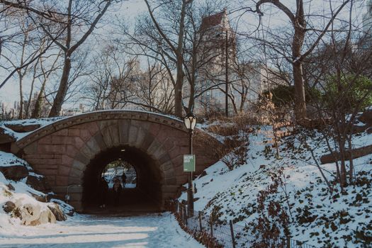 A serene winter scene in Central Park, New York, featuring a snow-covered bridge and bare trees.