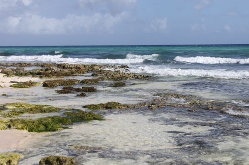Free Serene seascape of Playa del Carmen's rocky shore under blue skies and gentle waves. Stock Photo
