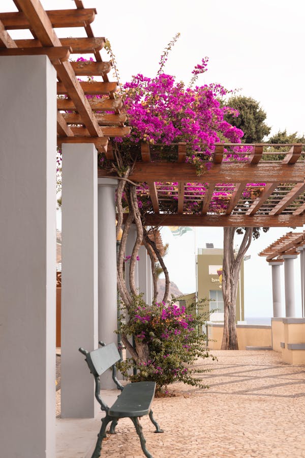 Shade sail over an outdoor patio
