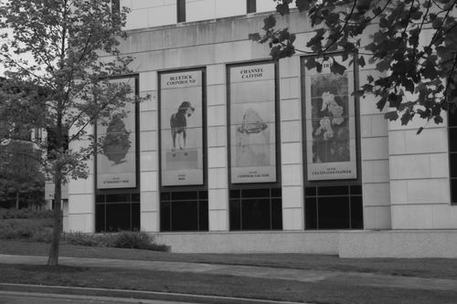 Free Tennessee State Library & Archives Stock Photo