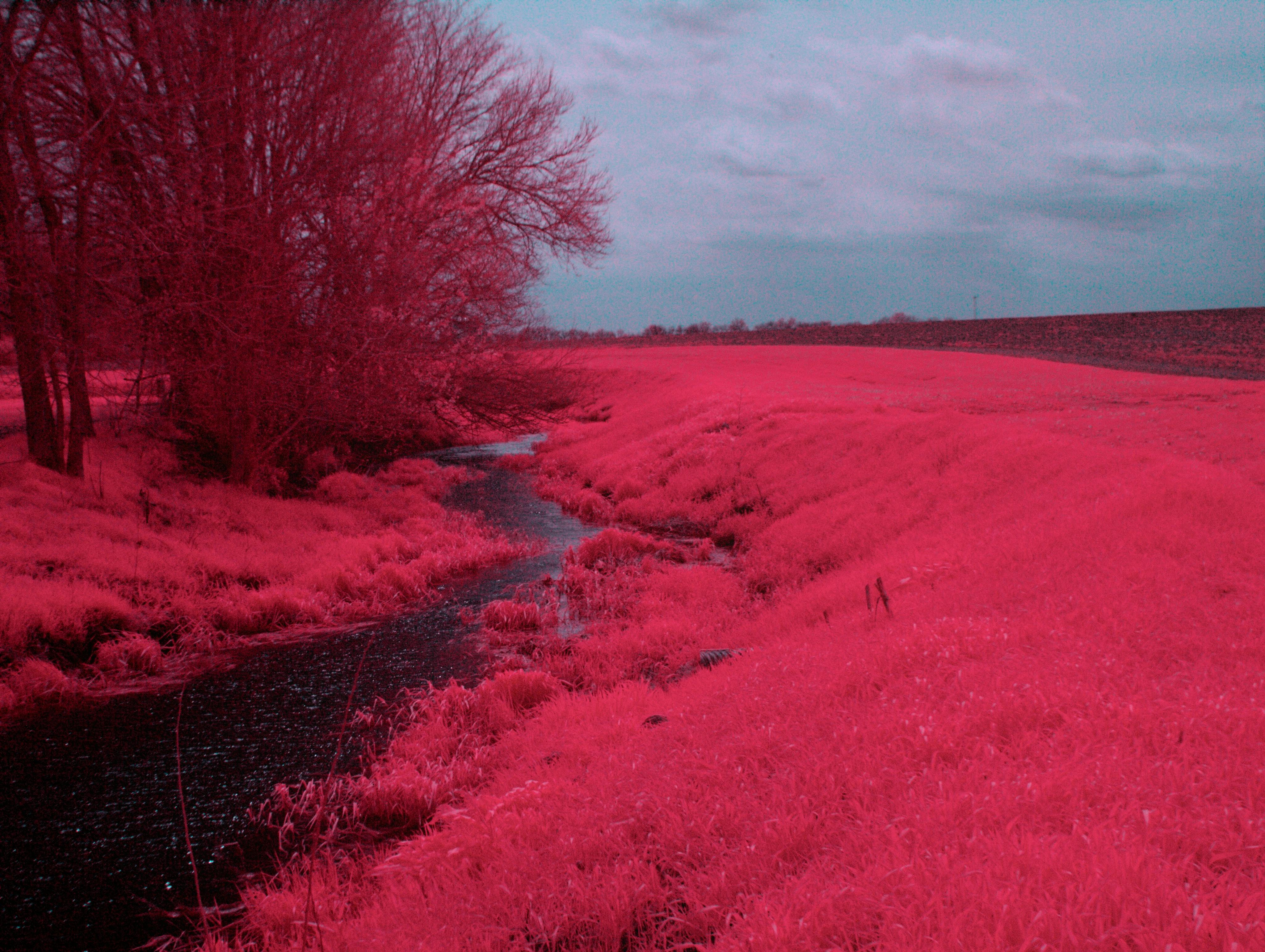 A dreamy infrared landscape depicting a river with vibrant magenta foliage and trees.