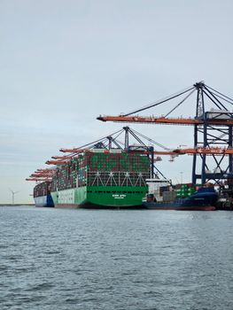 Cargo and logistics