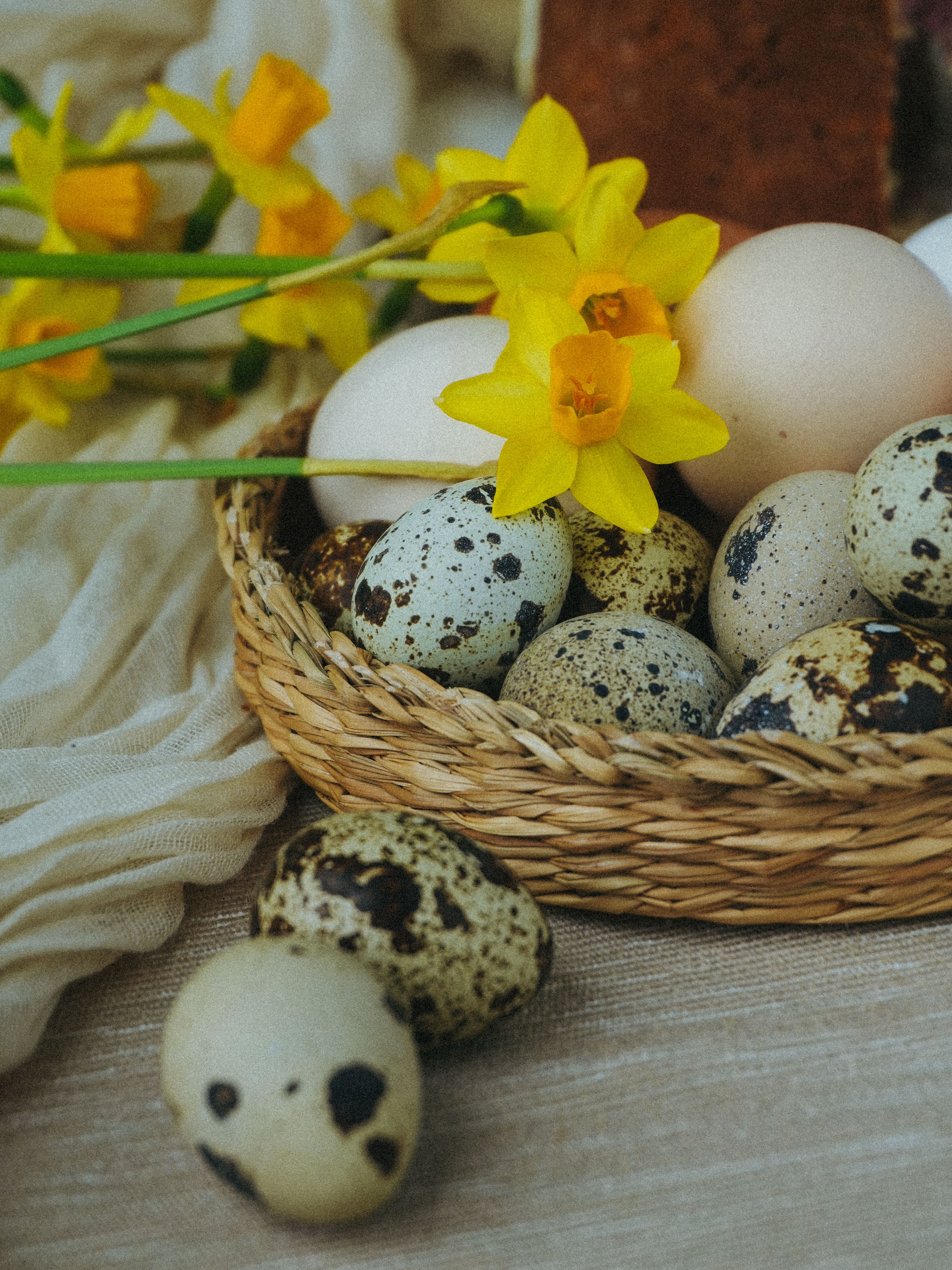 Spring Daffodils and Quail Eggs in Woven Basket · Free Stock Photo