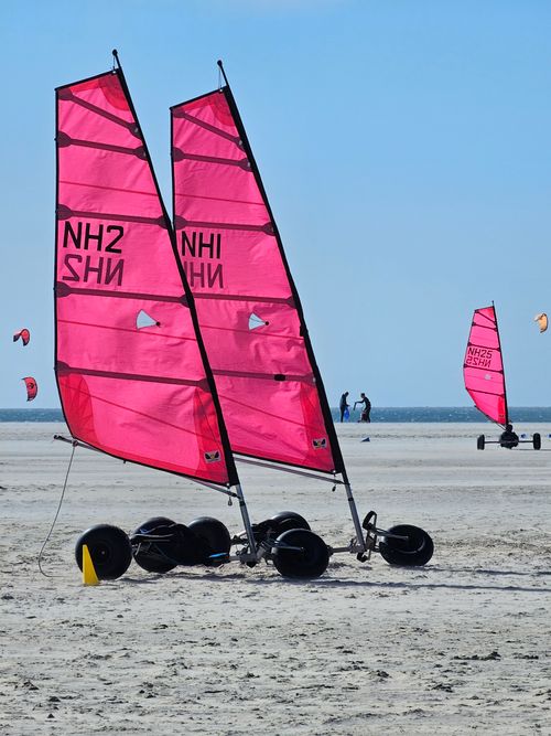 Free Vibrant pink sand yachts ready for action on Ouddorp's sandy beach under clear blue skies. Stock Photo