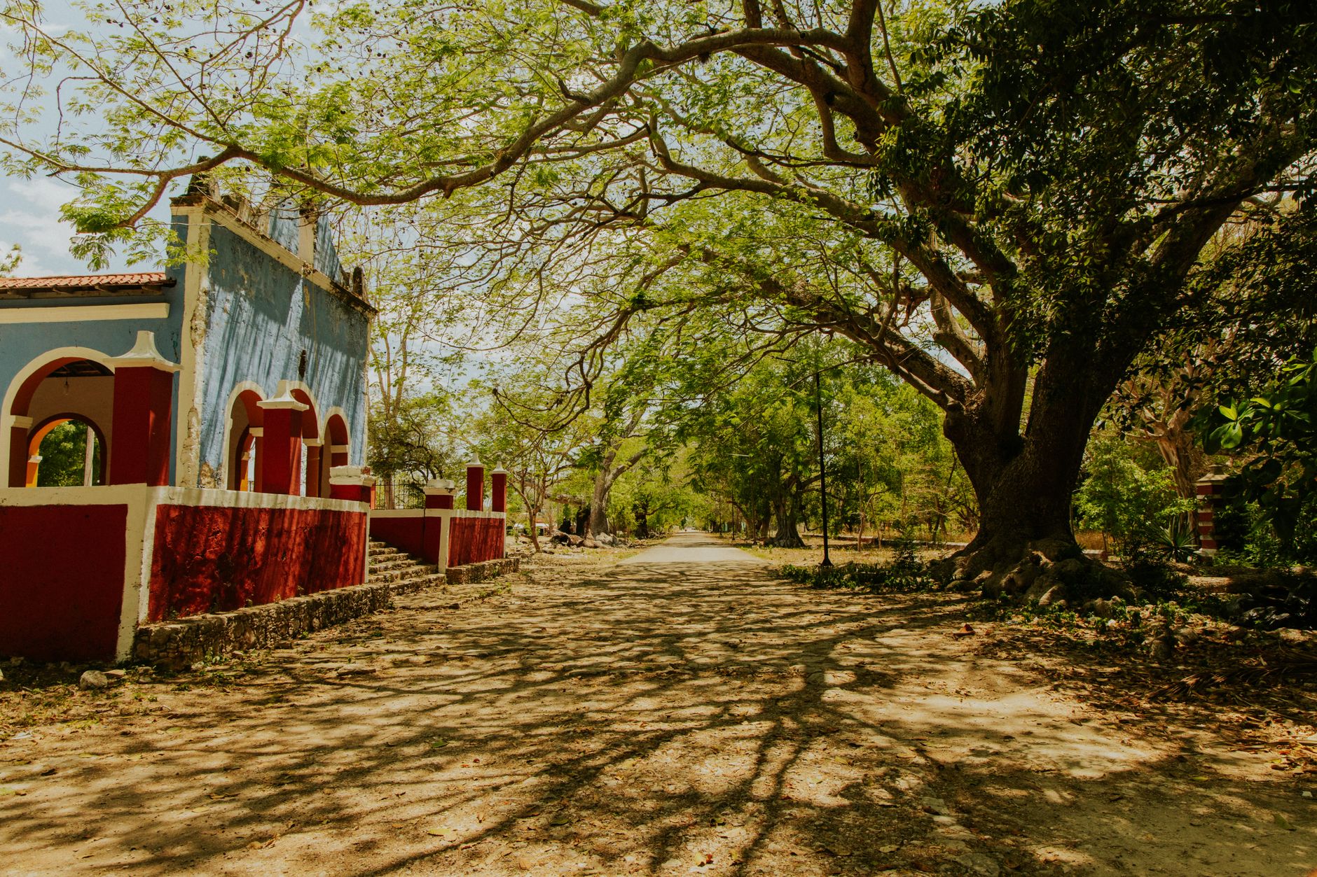 Nosara photo 3