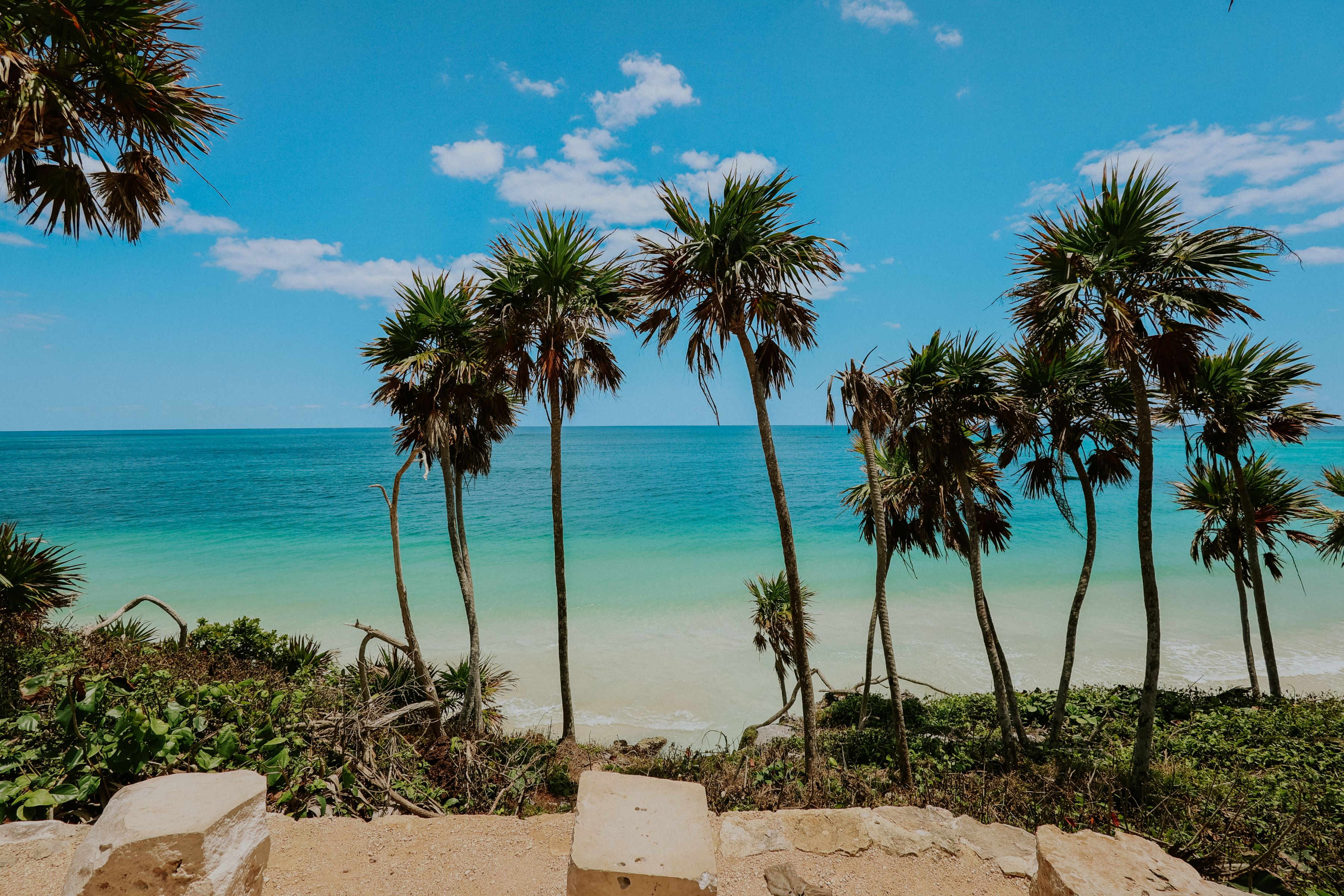 Plage de Tulum avec palmiers et eaux turquoise, destination phare pour un anniversaire au Mexique