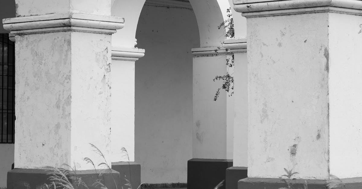 《機智醫生生活》美都與Falasol時隔4年回歸,OST明天公開應援後輩!