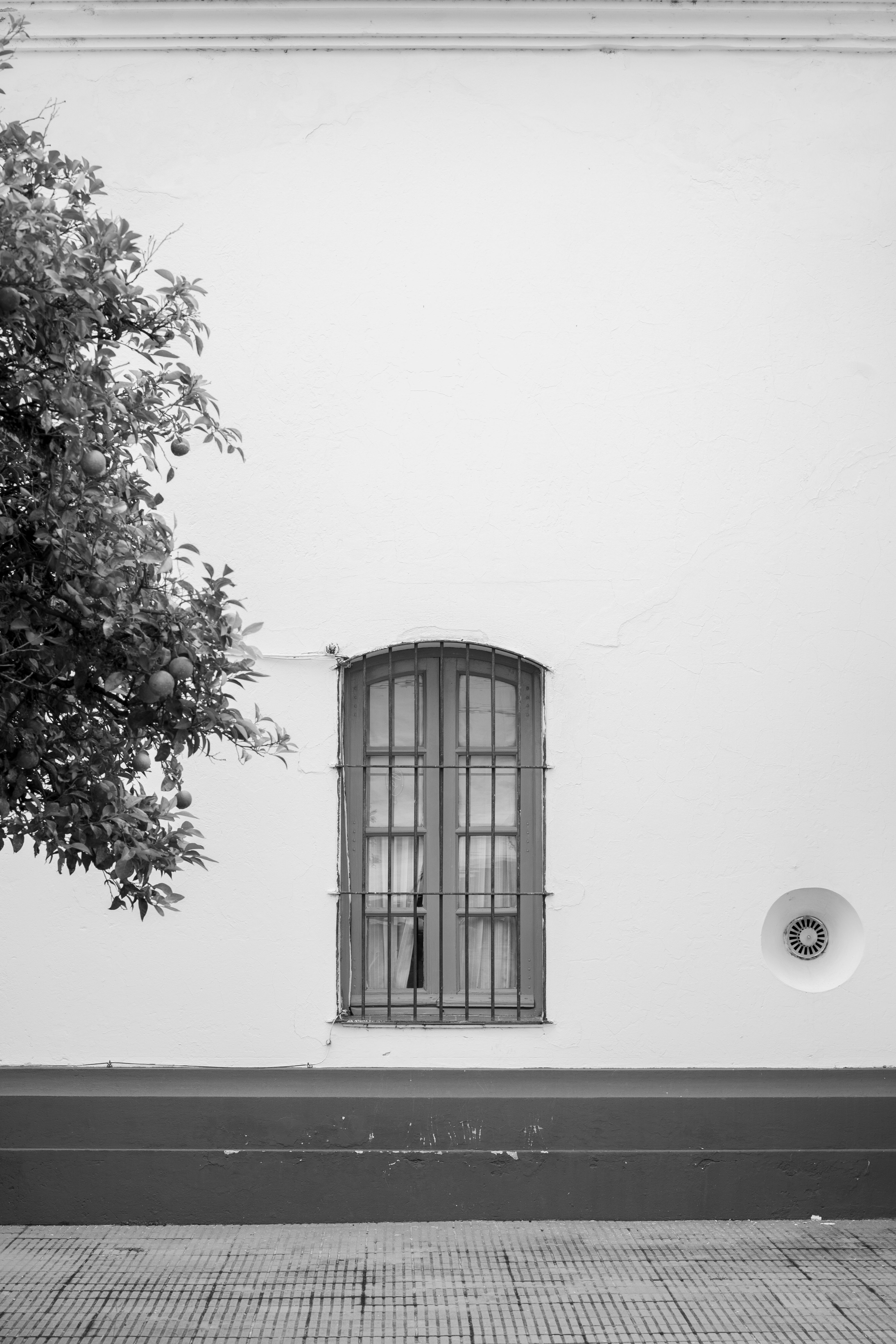 Black and white photo of a colonial window with metal grille and tree in Córdoba, Argentina.