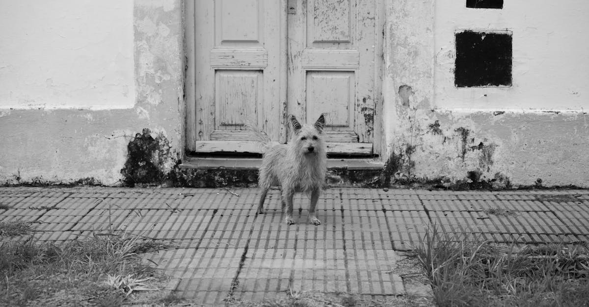 重劃區生活機能真的差?網友大喊:重點是住商分離!